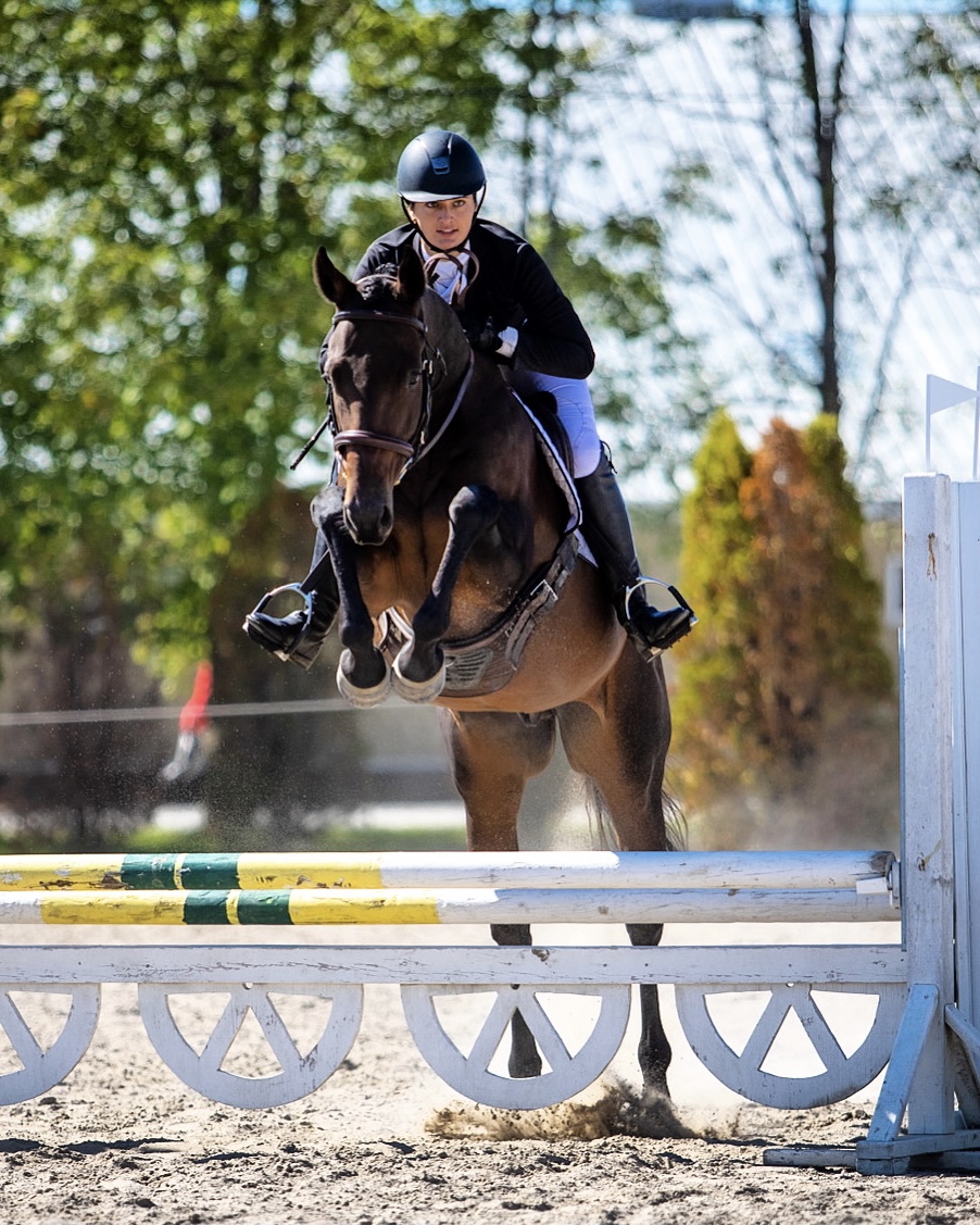 Equestrian Jumping